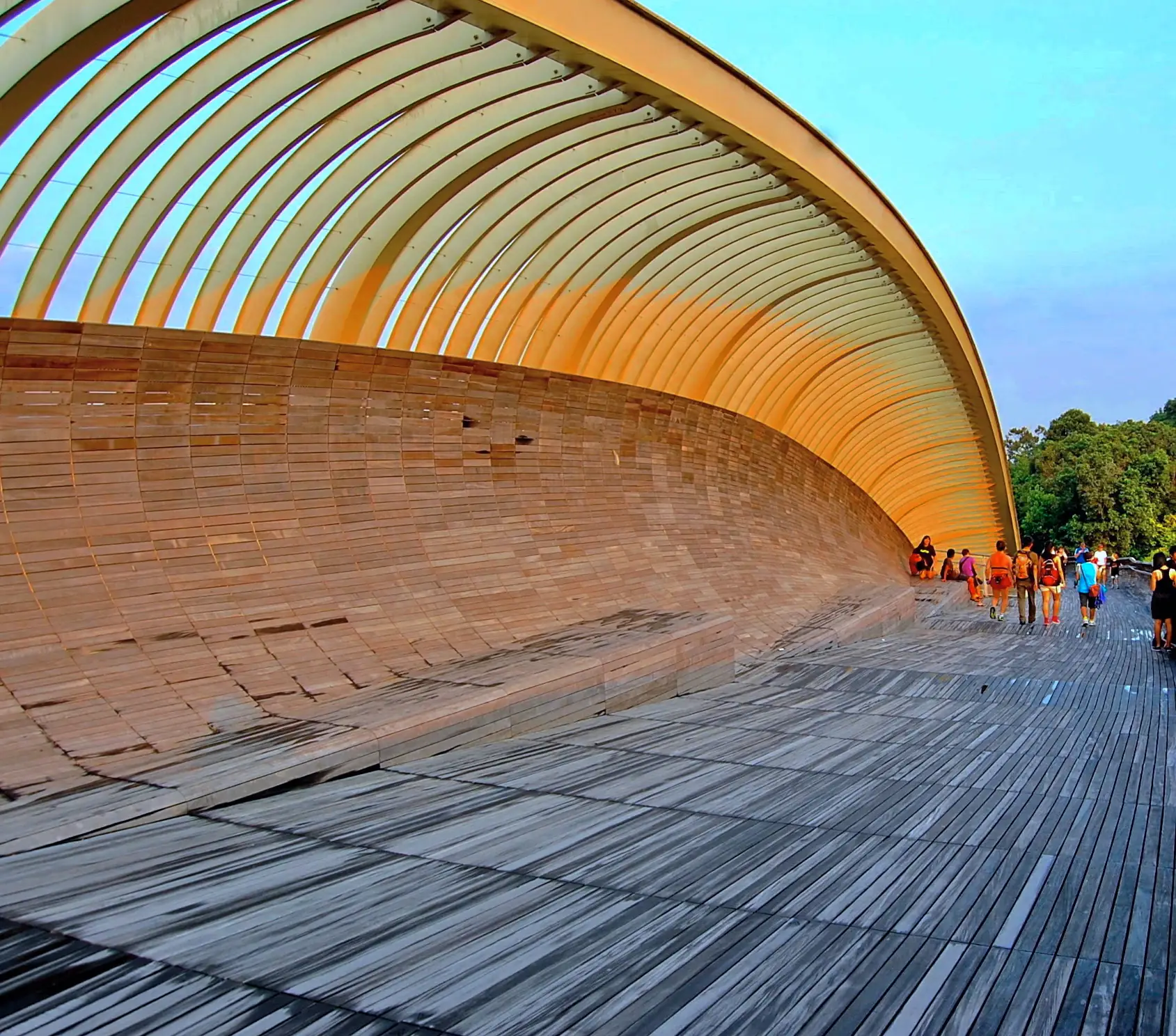 elegant spiral staircase architecture