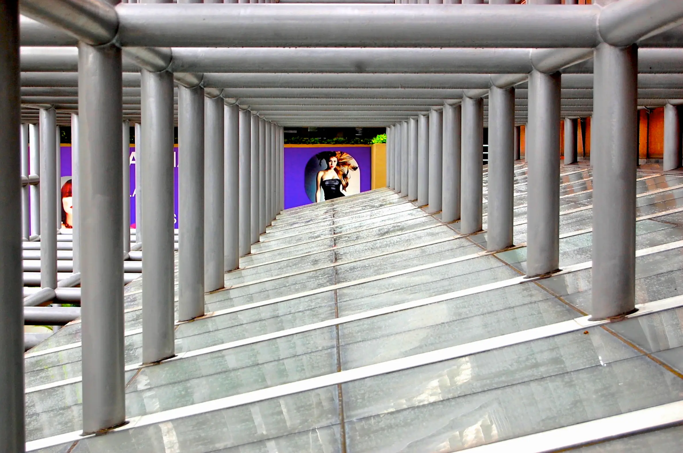 misty morning golf course landscape